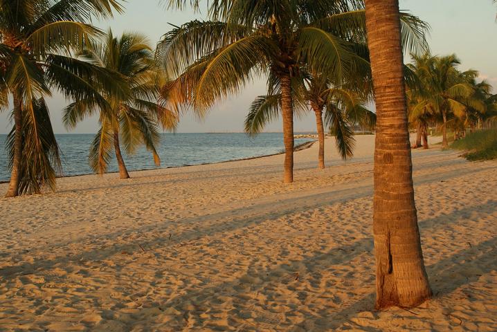 Florida Keys Strand